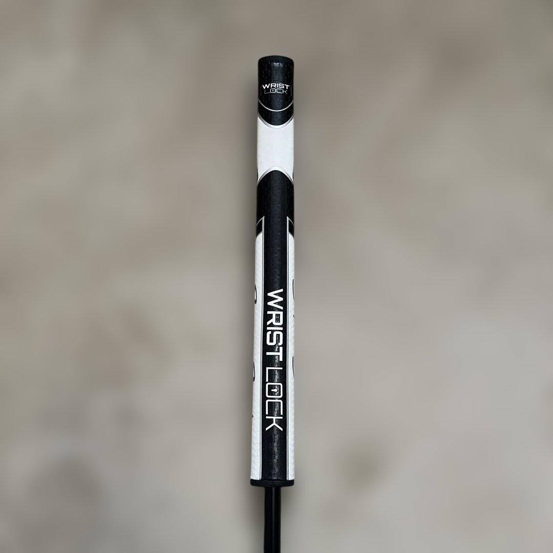 PING ANSER 2D パター