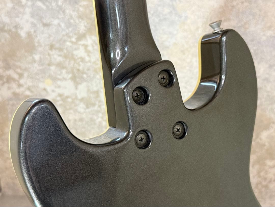 【希少】FERNANDES APG series 整備・清掃・弦交換済み