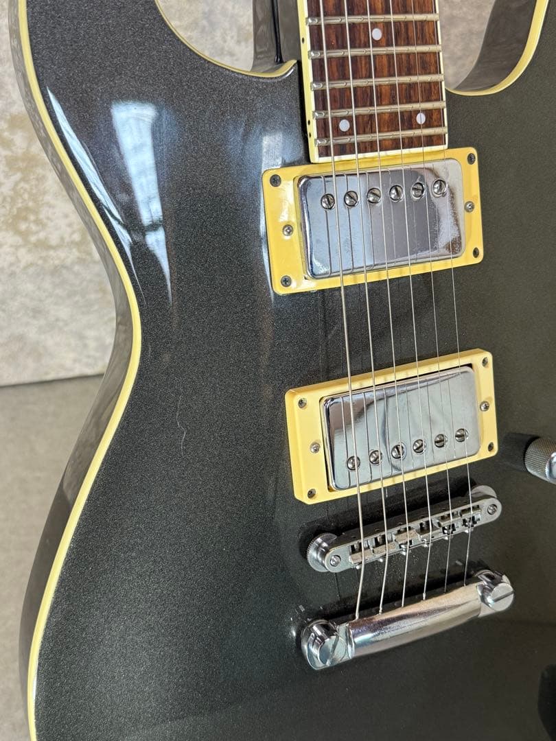 【希少】FERNANDES APG series 整備・清掃・弦交換済み