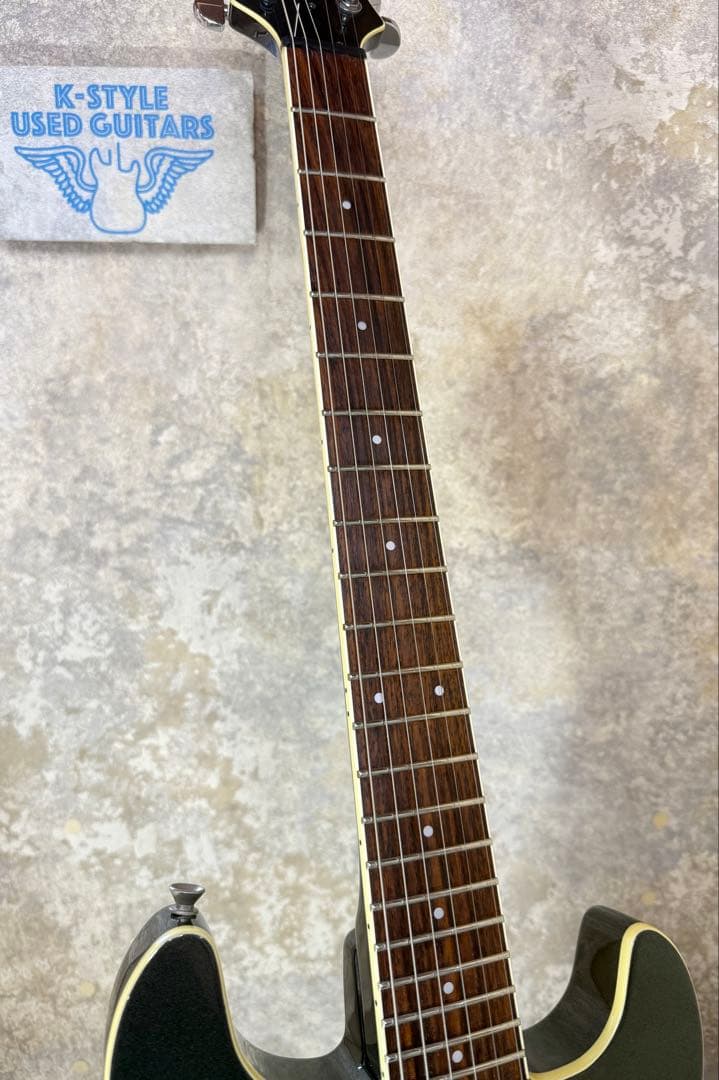 【希少】FERNANDES APG series 整備・清掃・弦交換済み