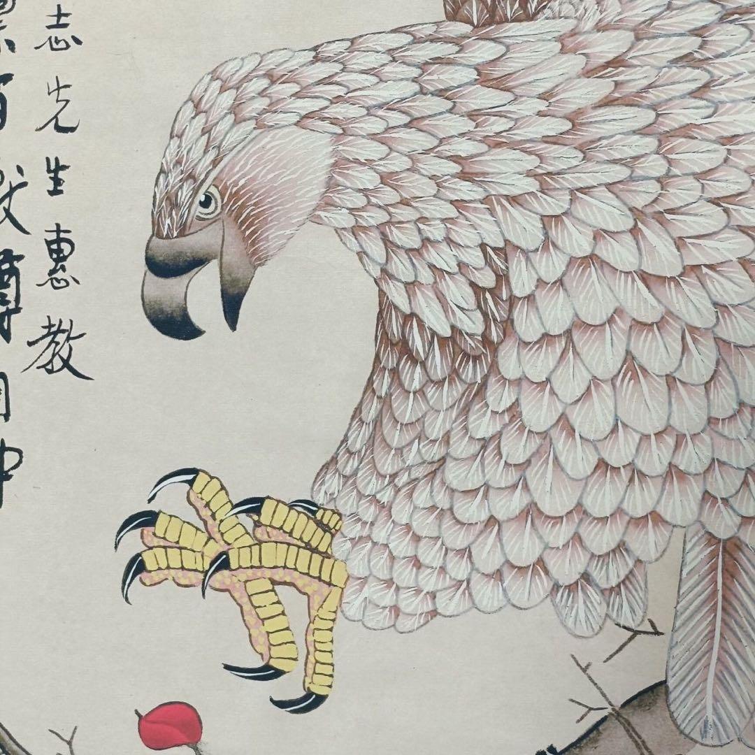 徐悲鴻 鷹 三尺中堂 掛け軸 証書付き 70×173cm 中国画 水墨画
