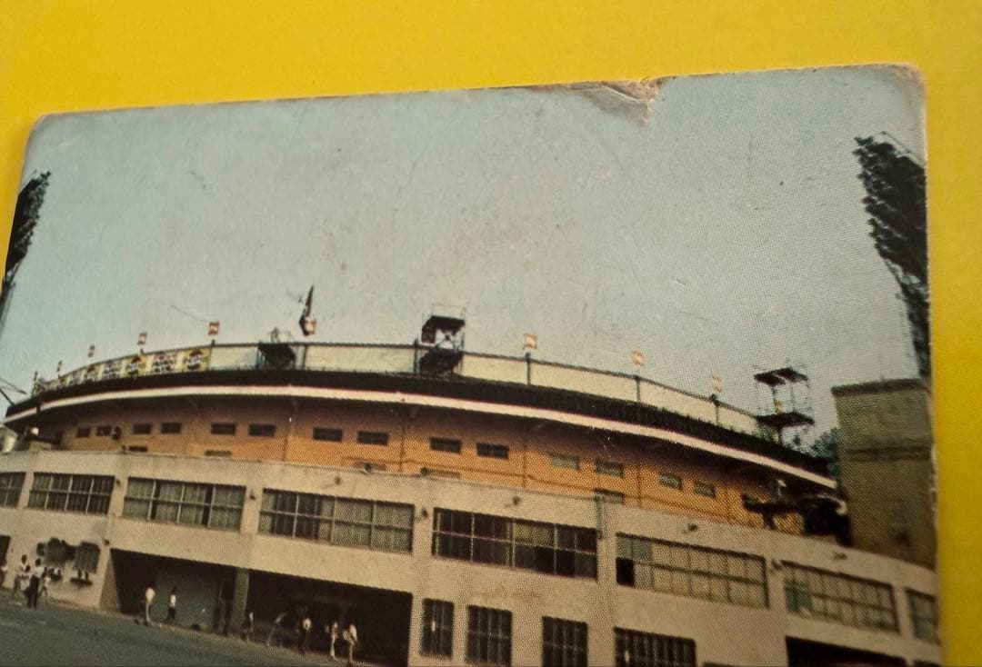 カルビープロ野球カード【地方版】 中日球場　昭和のレアカード