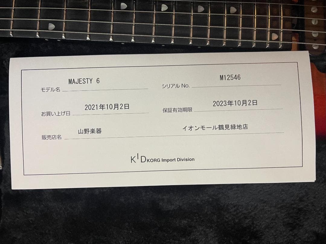 ギター AndrewD2021 Ernie Ball Jon Petrucci