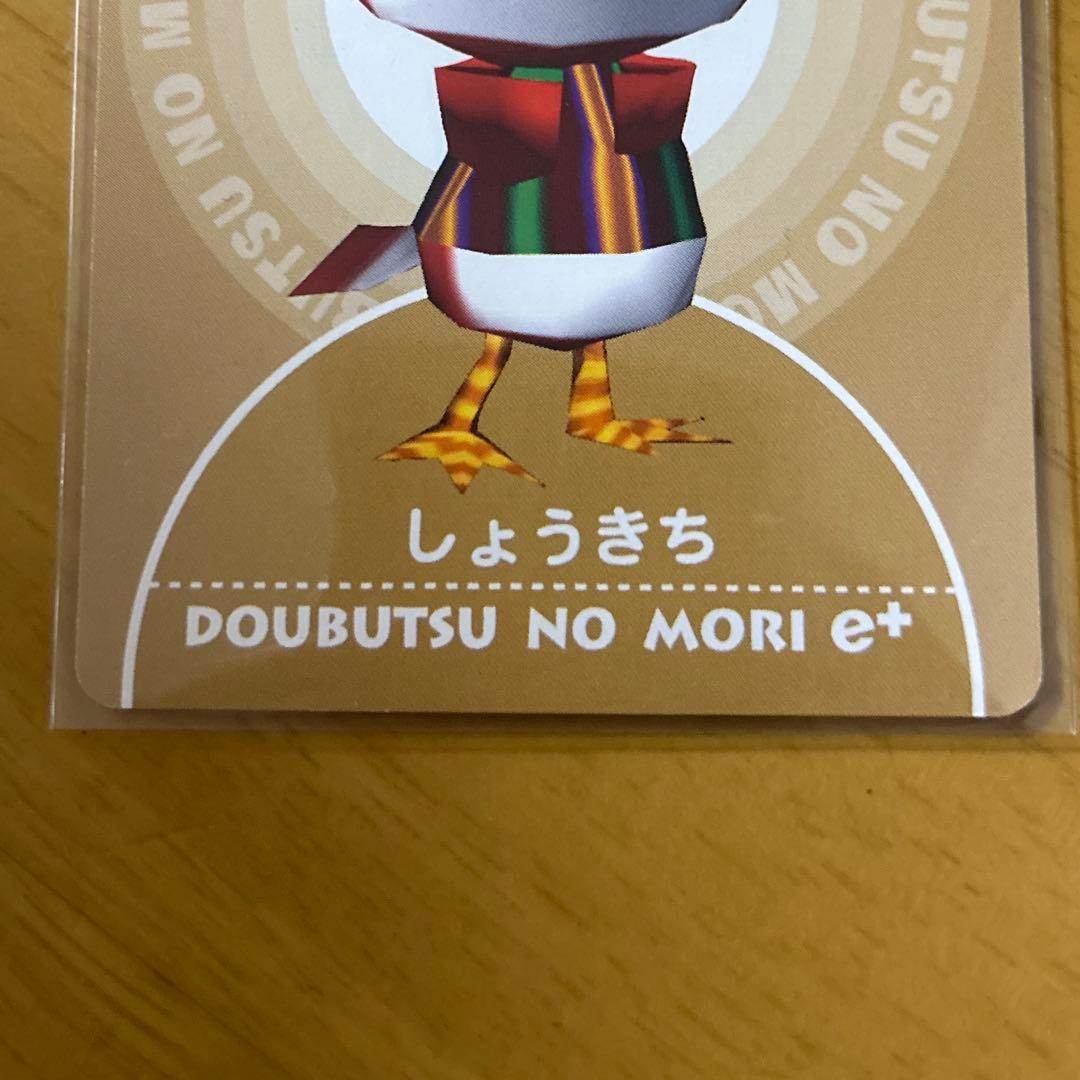 どうぶつの森 e+ PRカード しょうきち 希少 非売品 レア