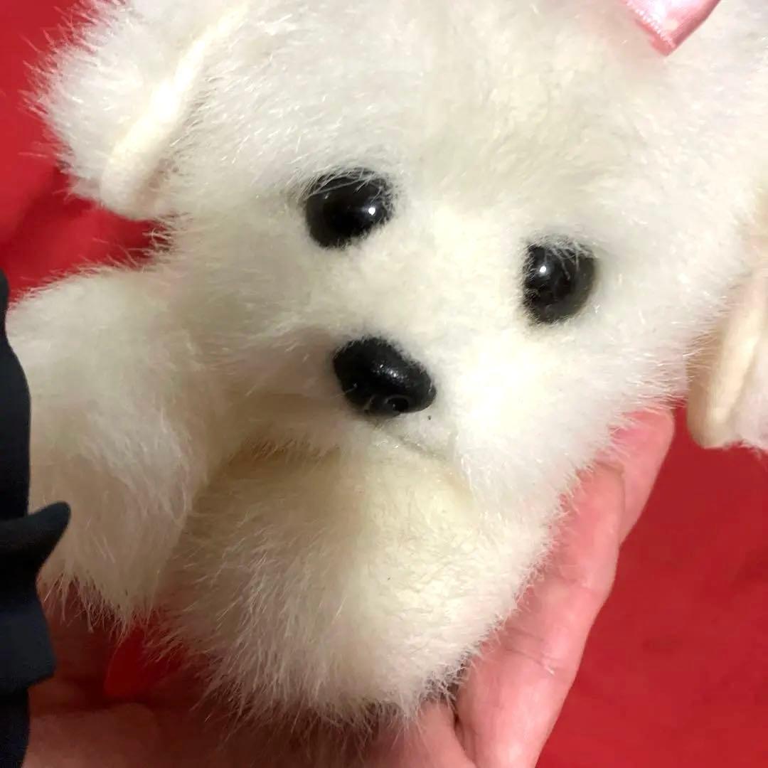 マルチーズぬいぐるみ　犬　白い犬　子犬　わんちゃん　レトロぬいぐるみ犬　リアル