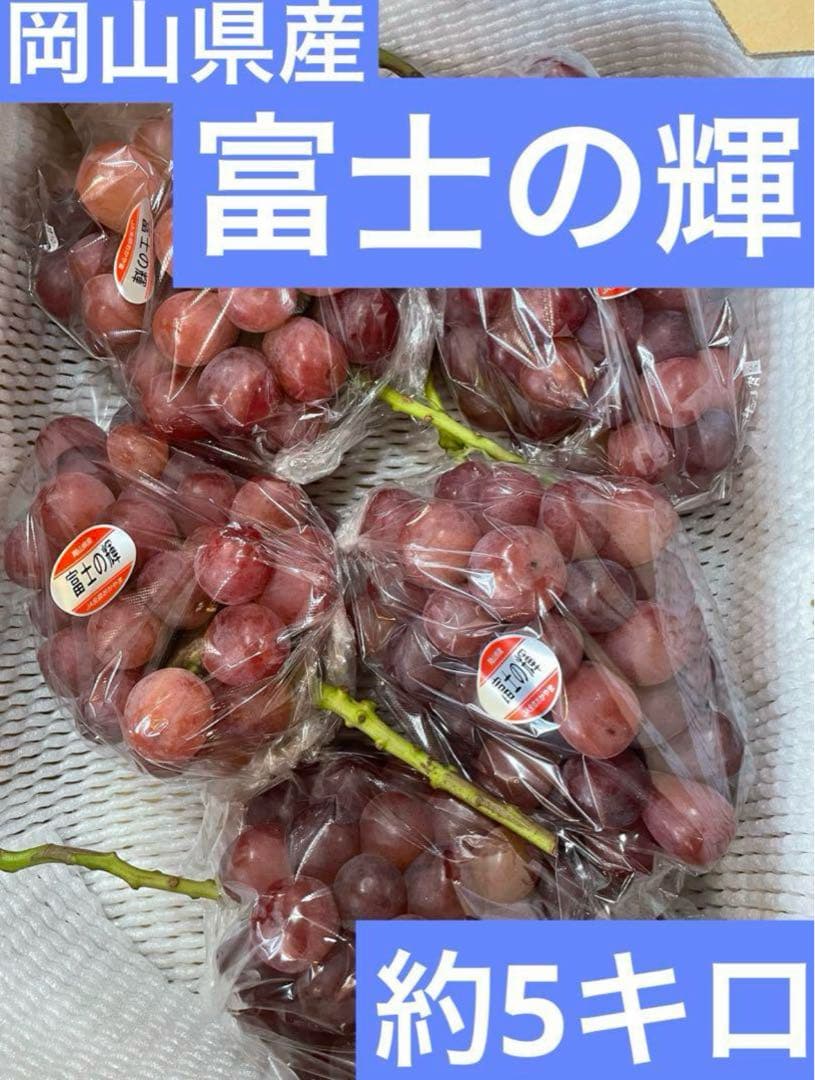 ⑧【岡山県産】富士の輝　約5キロ