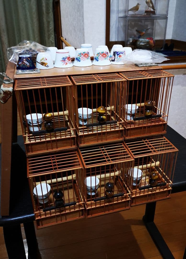《季節限定出品》メジロ籠&寝かせ籠【最高級/優良籠】※真鍮製餌受　※限定購入特典