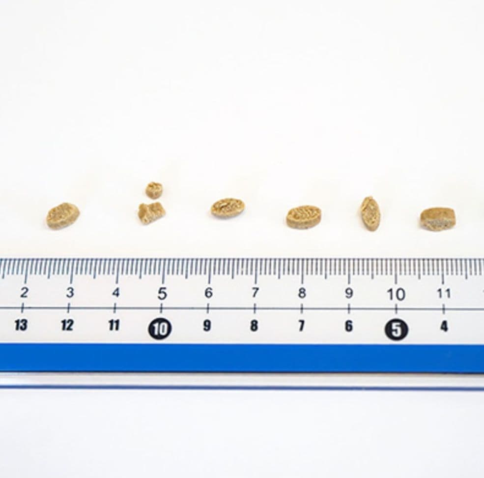 yumyumyum！ ヤムヤムヤム！ 健康マネジメント 腎臓 1.3kg ２袋