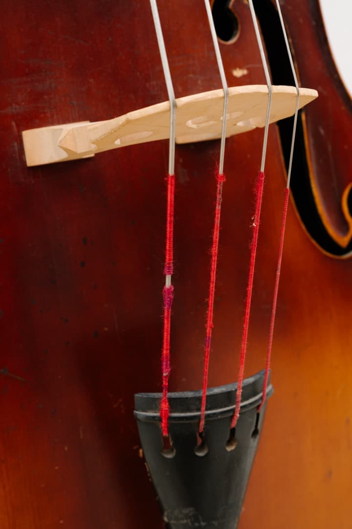 コントラバス ウッドベース