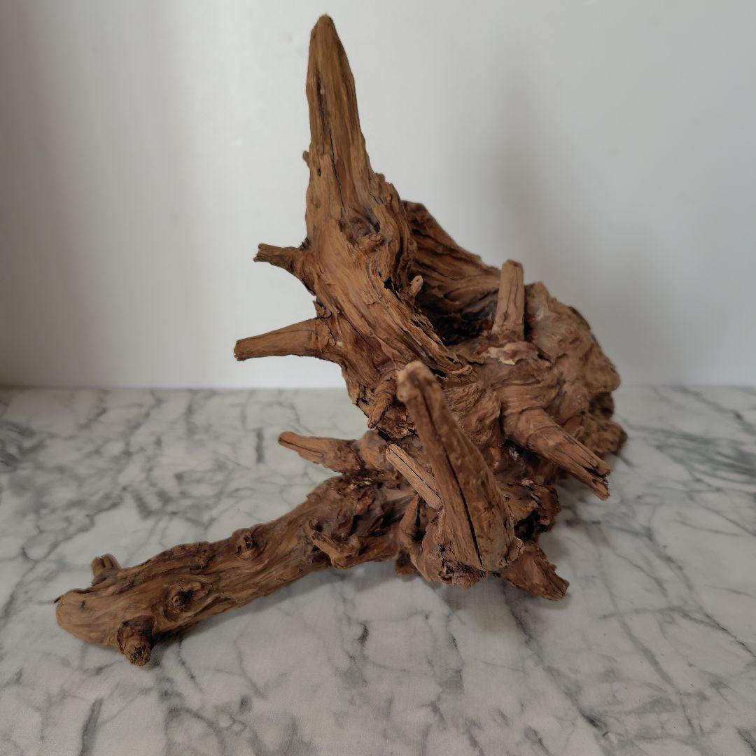 アク抜き済み流木【41】