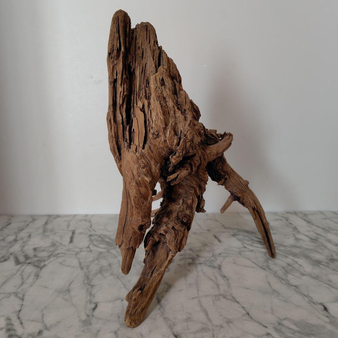 アク抜き済み流木【41】