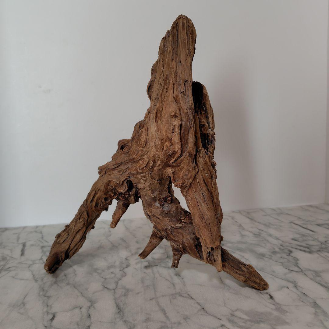 アク抜き済み流木【41】