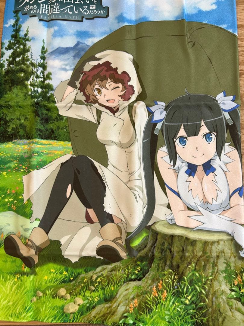 ダンまち　ヘスティア　リリルカ　アイズ　布？タオル？タペストリー？