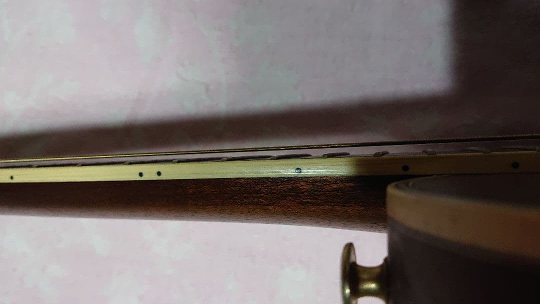 ARIA PE-MID-II エレガットギター ギターシンセサイザー