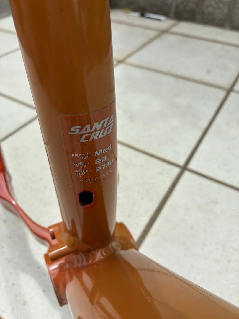 santacruz サンタクルズ chameleon カメレオン Mサイズ