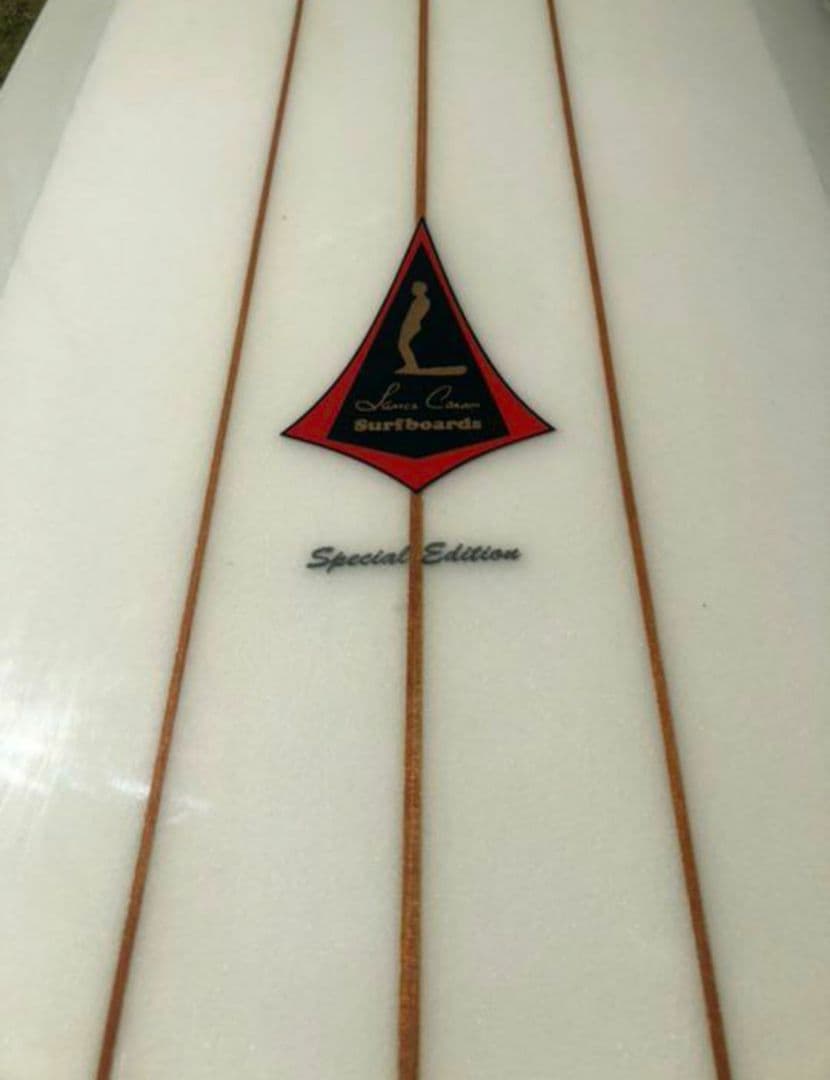 超レア超美品ランスカーソンPIG9'6クラシックロング芸術品Dフィン