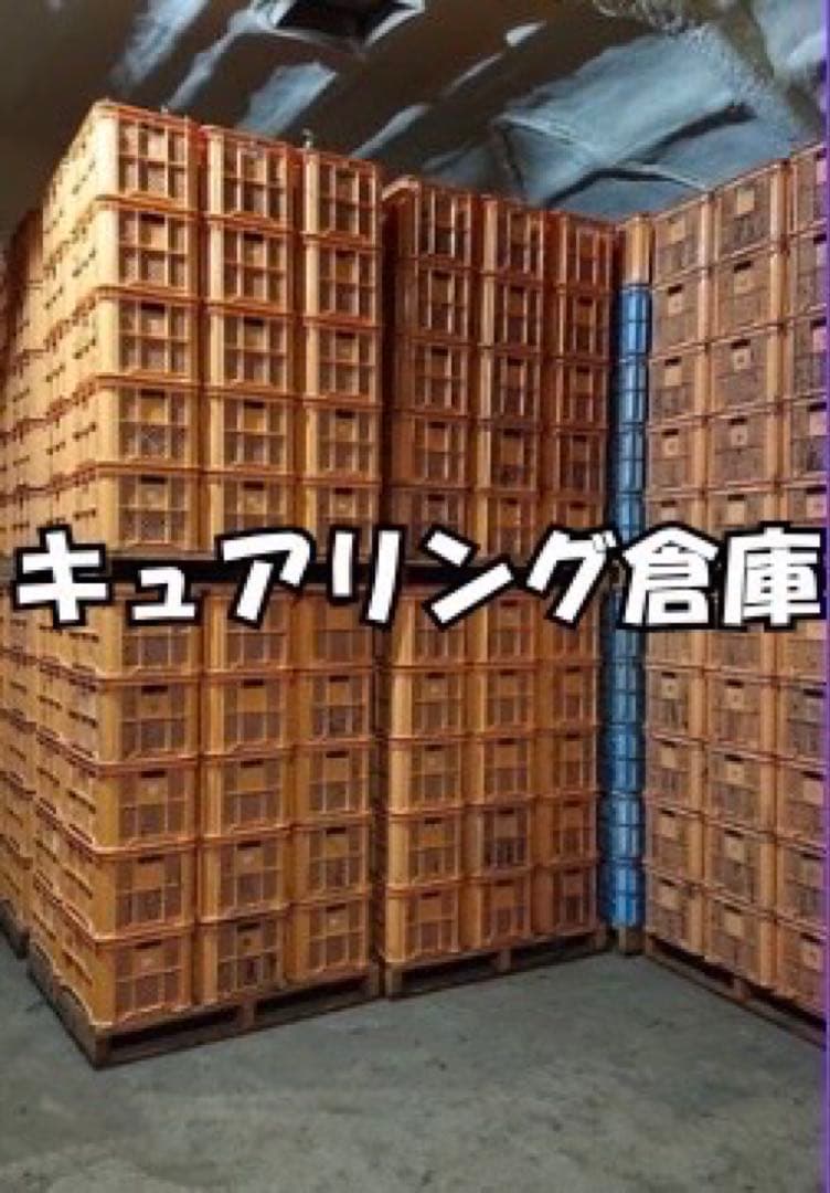 ゆりあんさつまいも　紅はるか　訳あり　Mサイズ15kgＬサイズ5kg