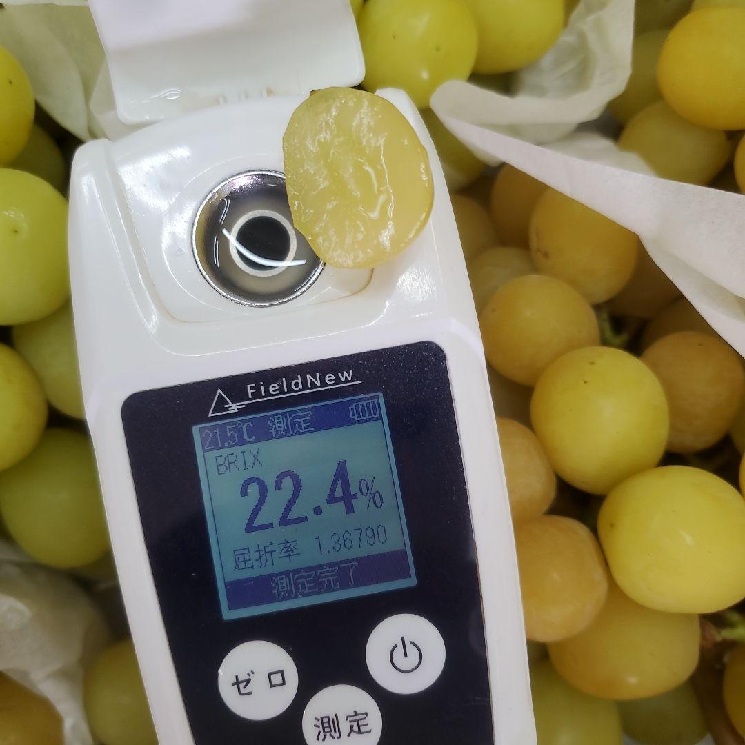 6️⃣ 山梨県産 シャインマスカット １１房入り 箱込み5.7キロ