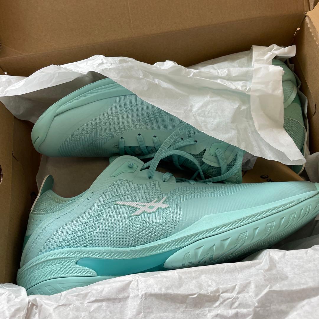 ASICS　GLIDE NOVA FF3 30cm