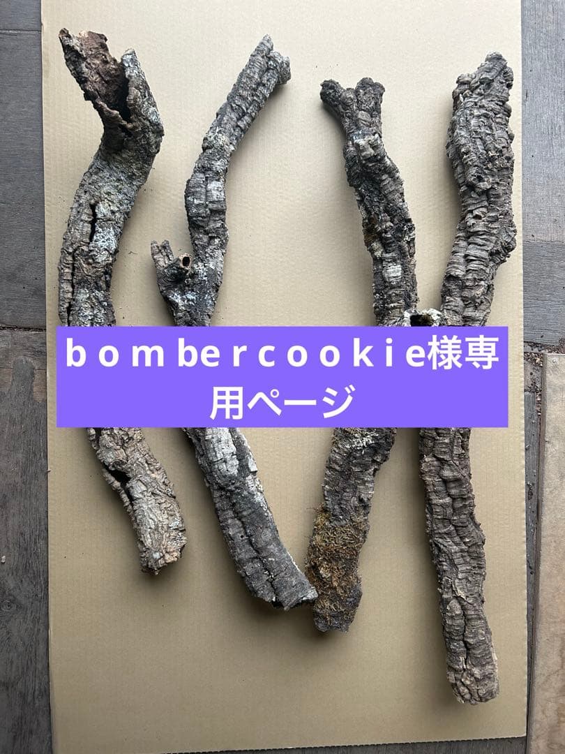 コルク樹皮４本セット1202-4Ｌ+ Ｍ SＰ-1130-5 S５本セット