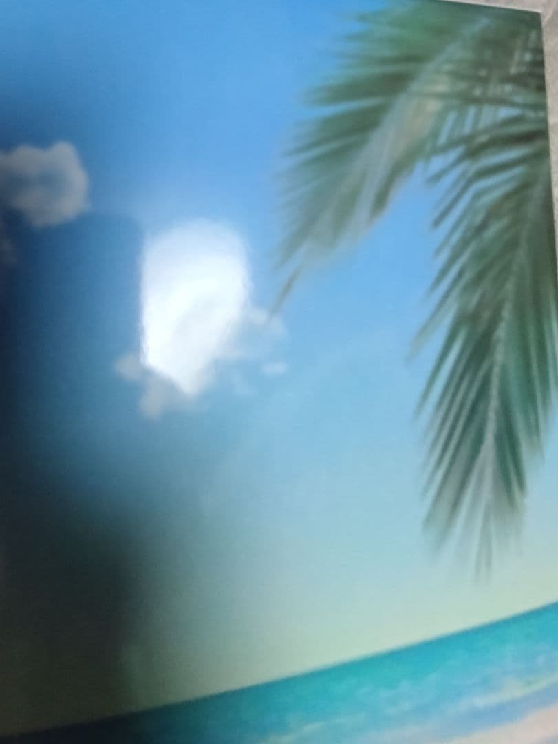 Fate一番くじC賞Grand Orderムーンキャンサー 1/7 フィギュア