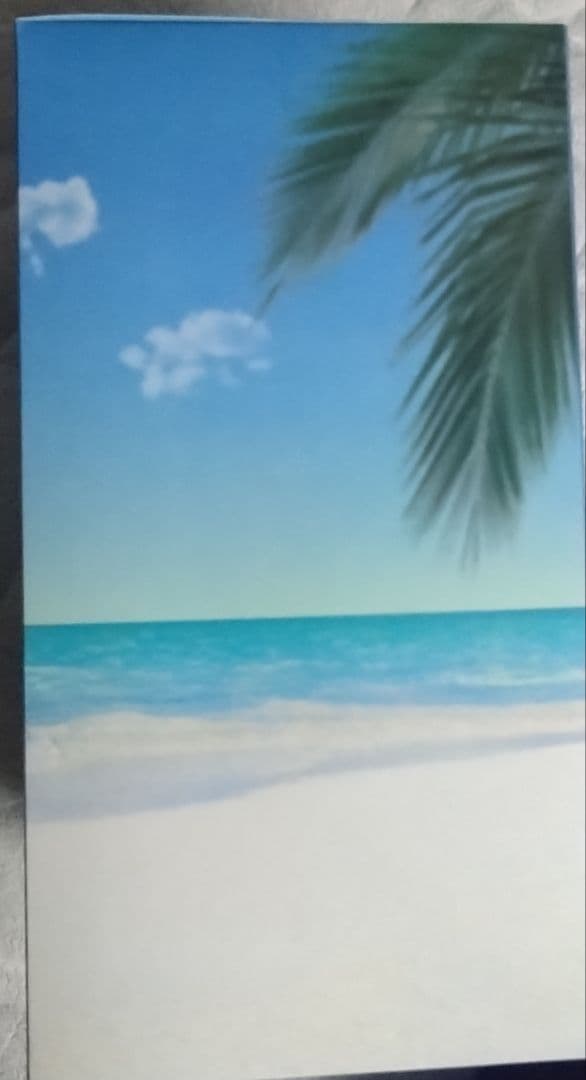 Fate一番くじC賞Grand Orderムーンキャンサー 1/7 フィギュア