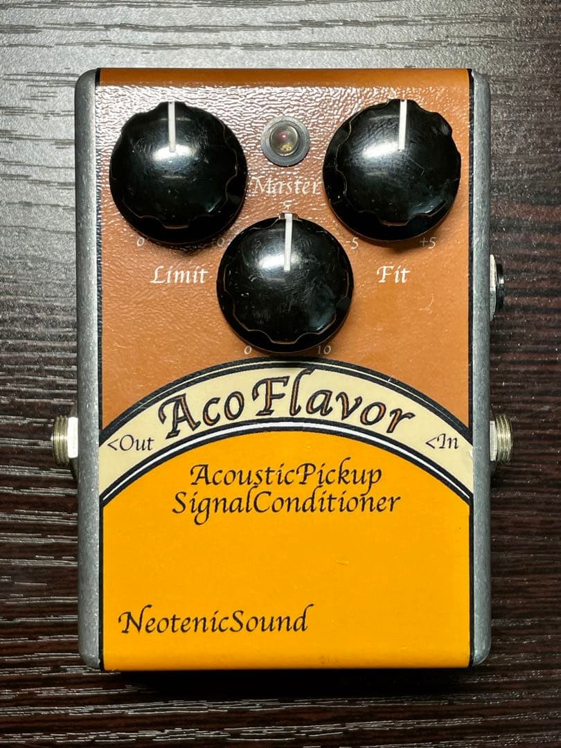 ギター NeotenicSound AcoFlavor