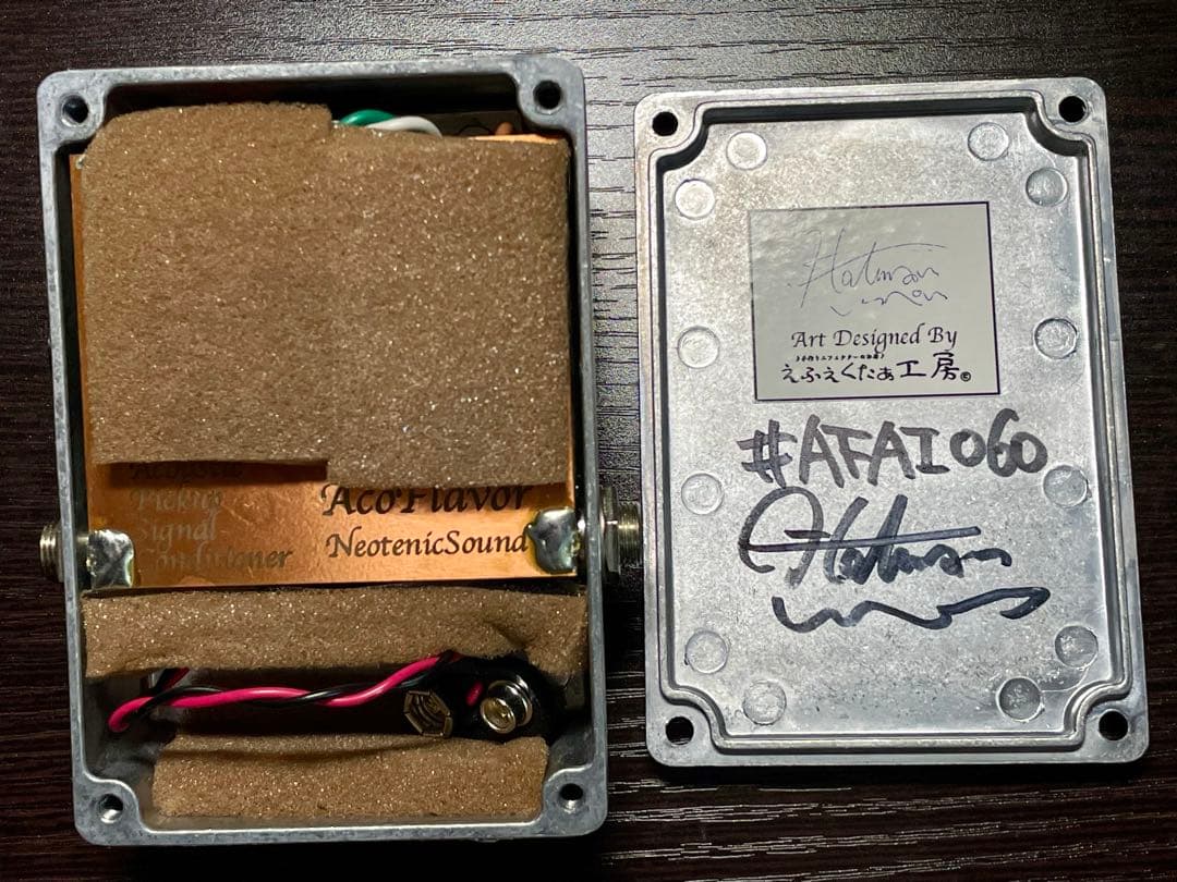 ギター NeotenicSound AcoFlavor
