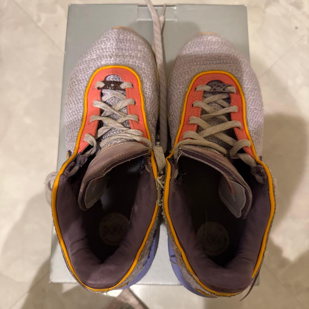 NIKE レブロン20 26.5cm