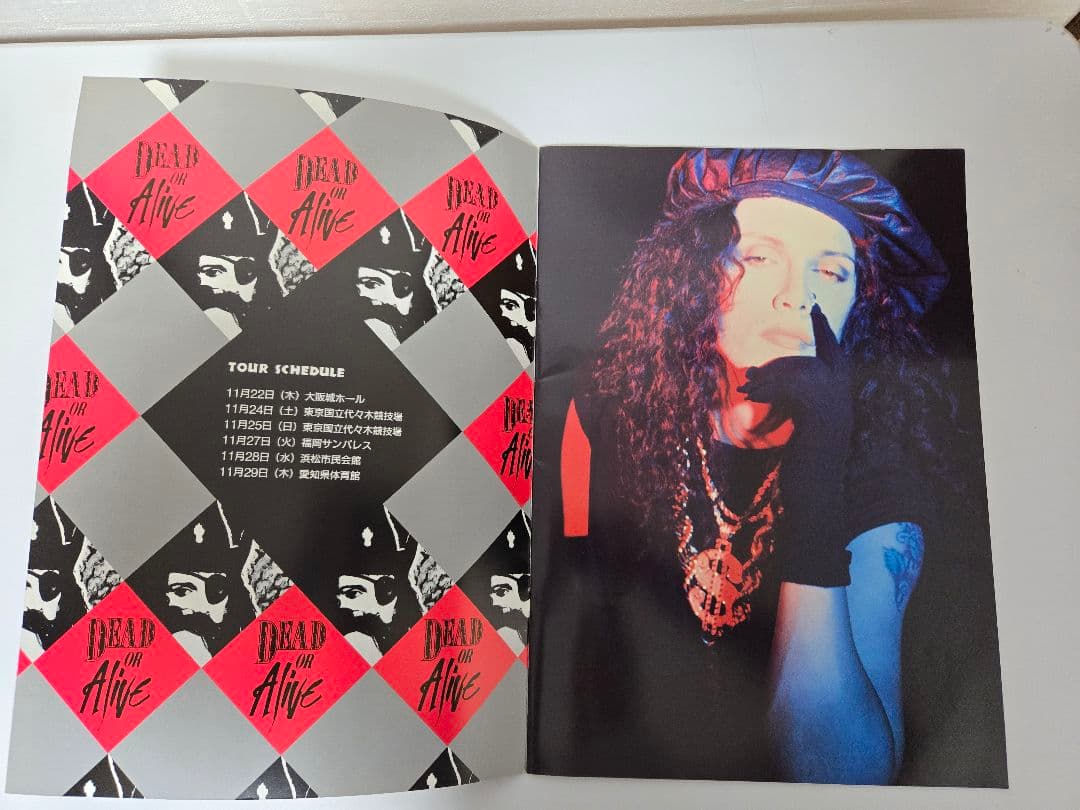 デッドオアアライブ　ツアーパンフ　DEAD OR ALIVE ピート・バーンズ