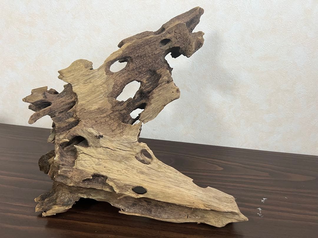 XM-378 流木　マシンガンウッド　アクアリウム　ブランチウッド