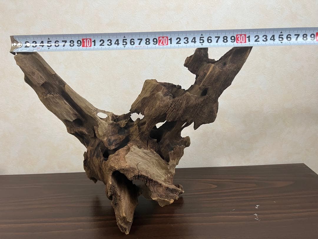 XM-378 流木　マシンガンウッド　アクアリウム　ブランチウッド