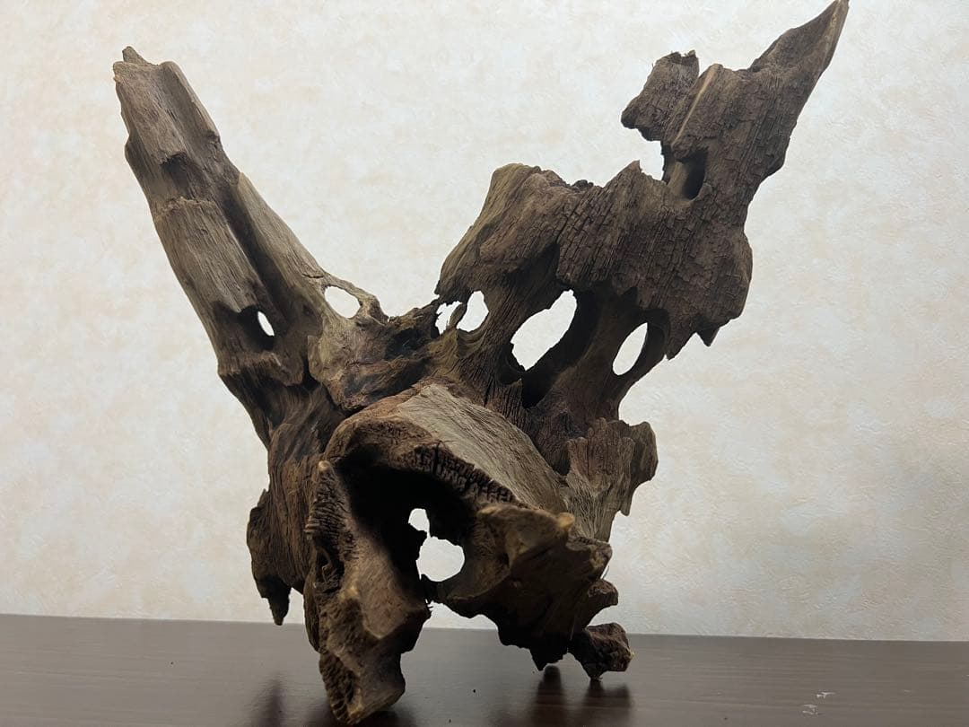 XM-378 流木　マシンガンウッド　アクアリウム　ブランチウッド