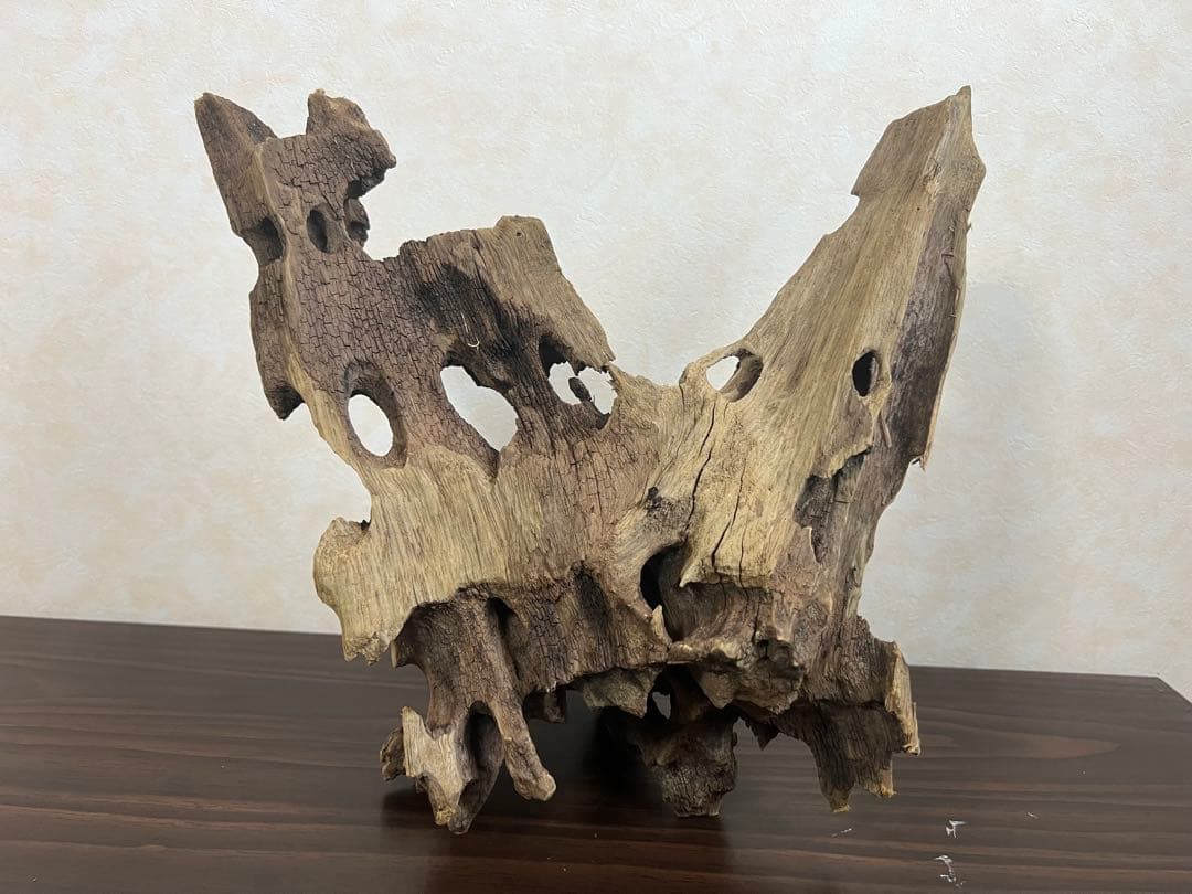 XM-378 流木　マシンガンウッド　アクアリウム　ブランチウッド