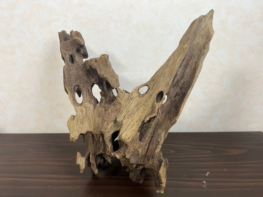 XM-378 流木　マシンガンウッド　アクアリウム　ブランチウッド