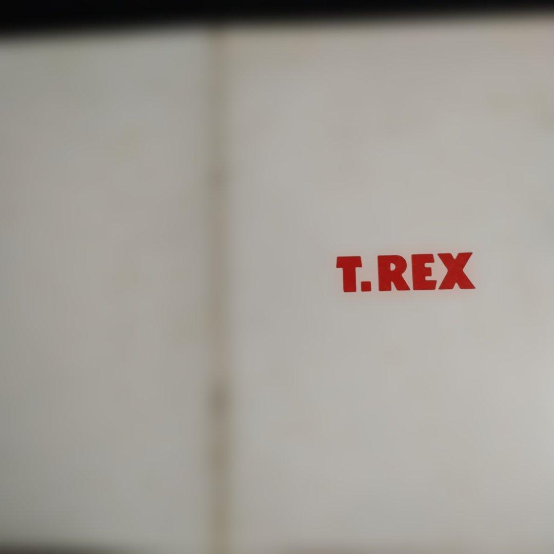 T.REX　T . レックス 1972年 日本公演パンフレット　他