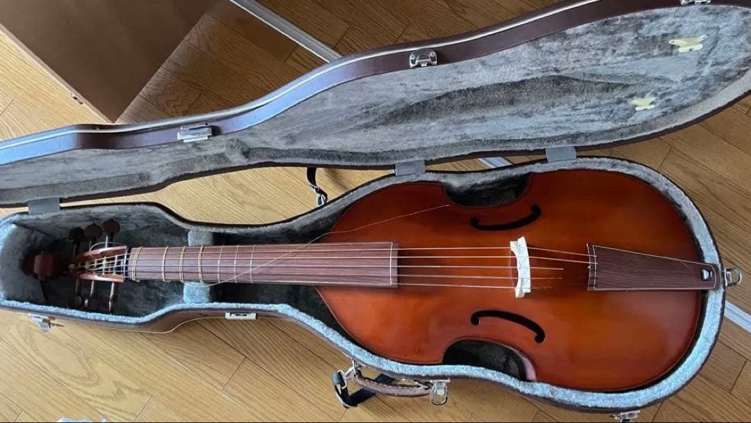 古楽器 ヴィオラ・ダ・ガンバ 6弦 全音