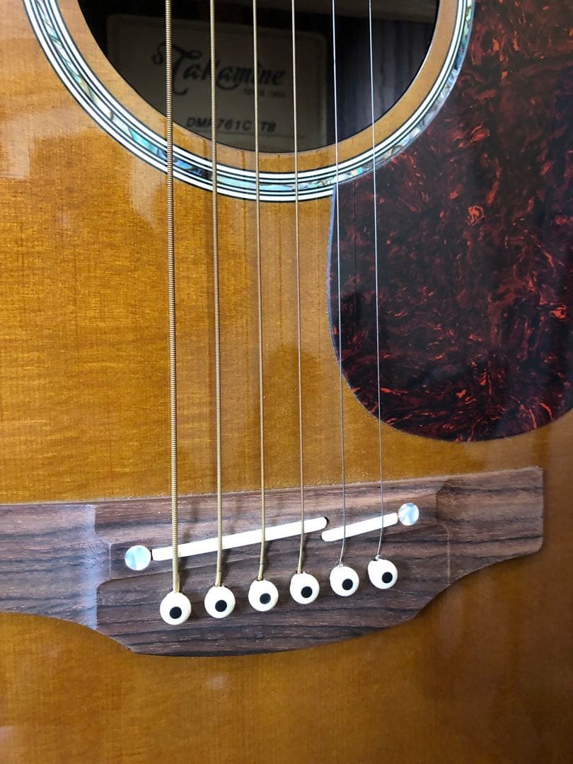 ギター Takamine DMP761C TB