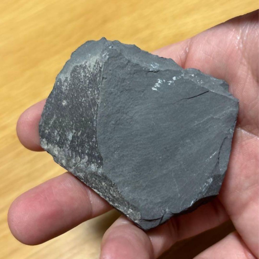 三葉虫　化石　石　インテリア　置物