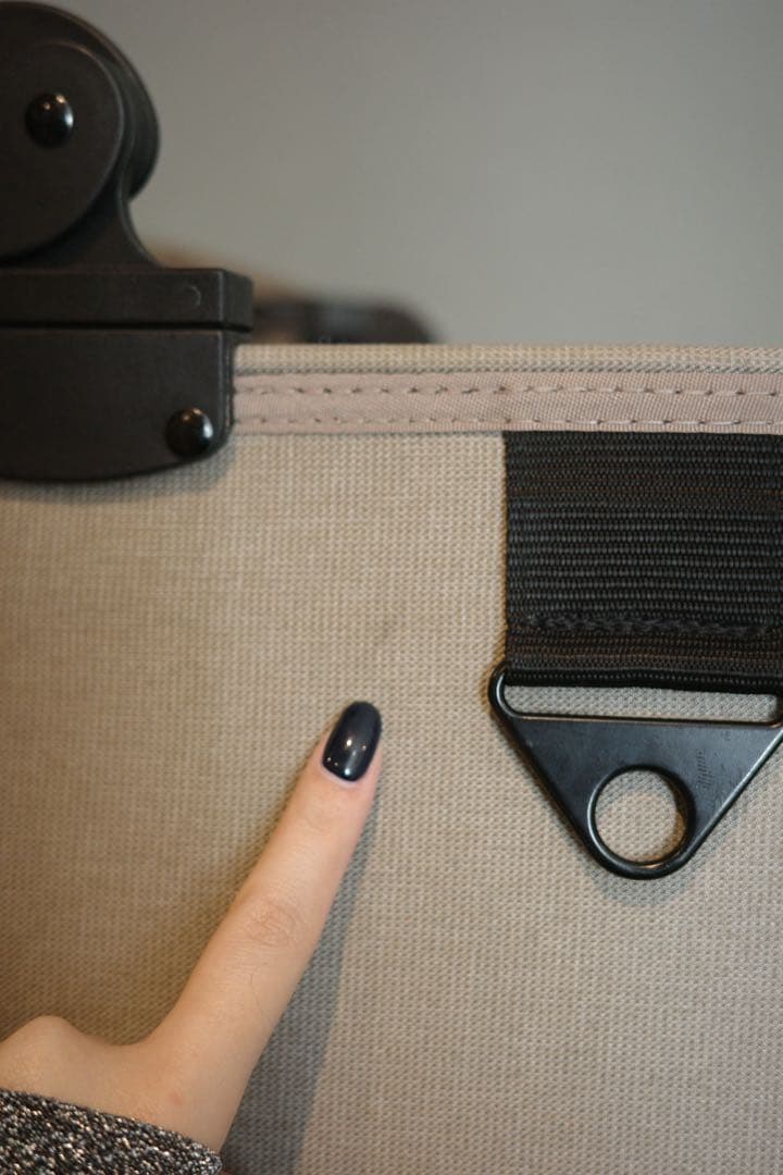 AIRBUGGY ペットカートドーム3レギュラーサイズ