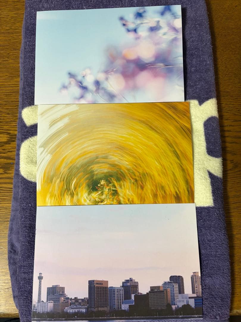 shy taupe シャイトープ グッズセット