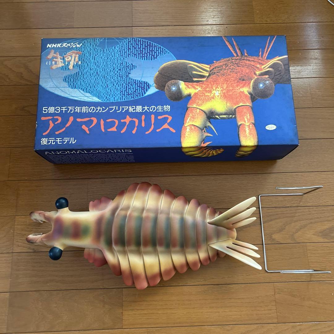 カンブリア紀　アノマロカリス　フィギュア　化石　復元モデル　NHKスペシャル