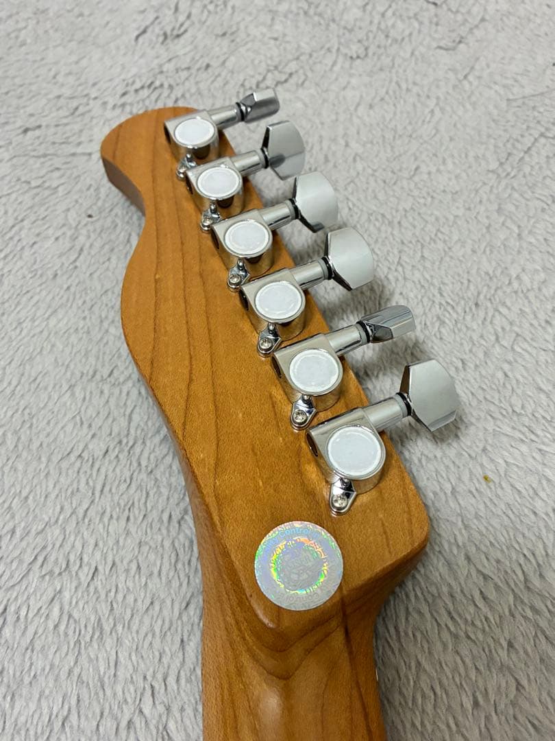 Bacchus BTE-2-RSM/M BBD テレキャスター