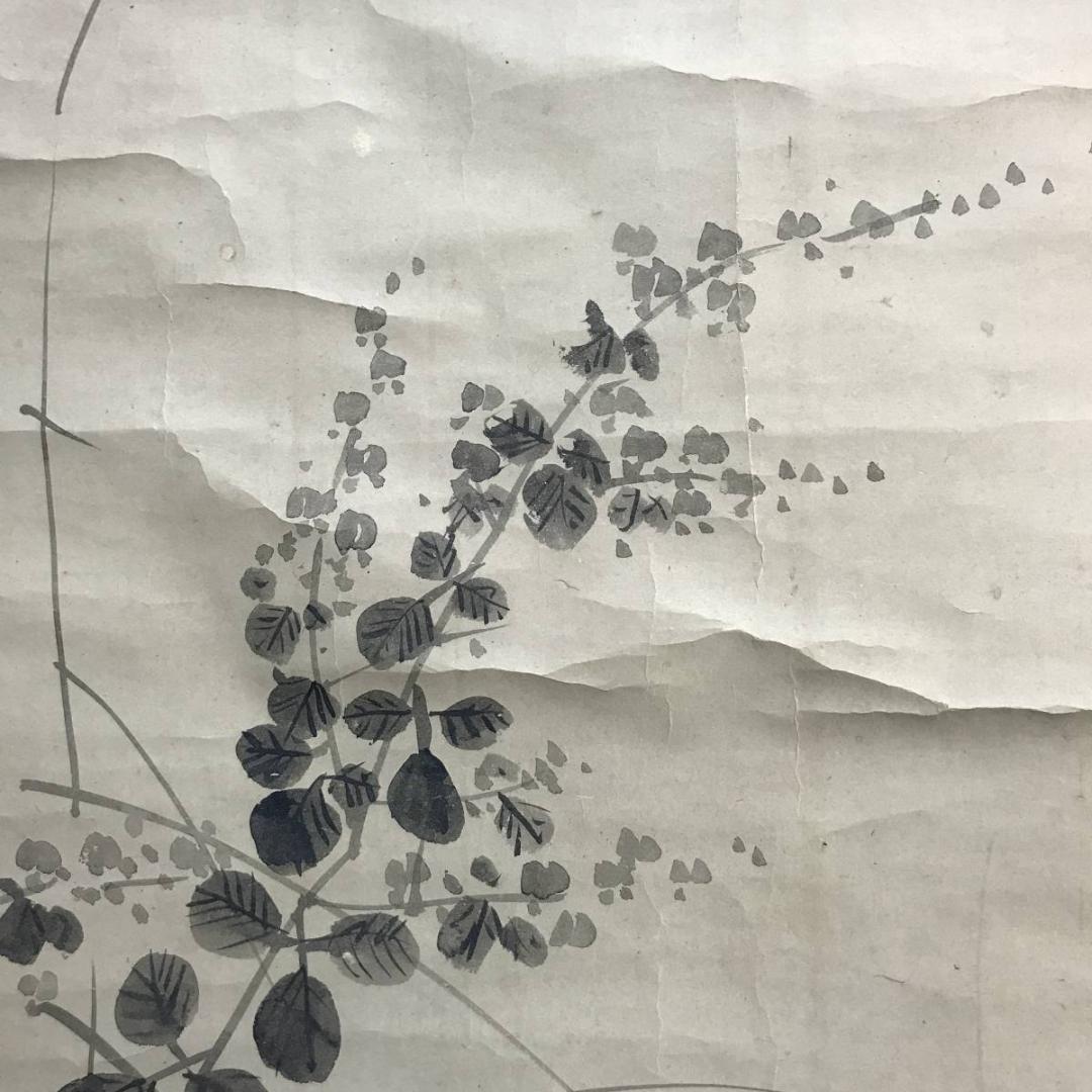 福原五岳/萩花に蝶図/花図/花鳥図/掛軸/名家伝来/AD-102