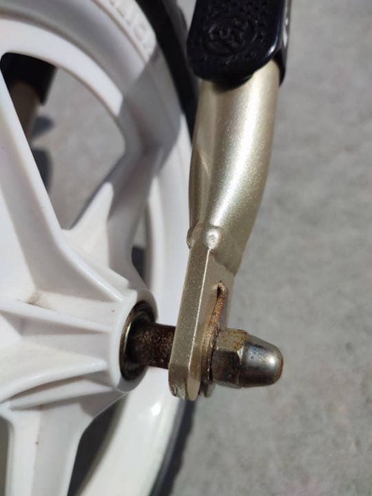 超軽量 ストライダー プロ シャンパンゴールド　10th限定モデル