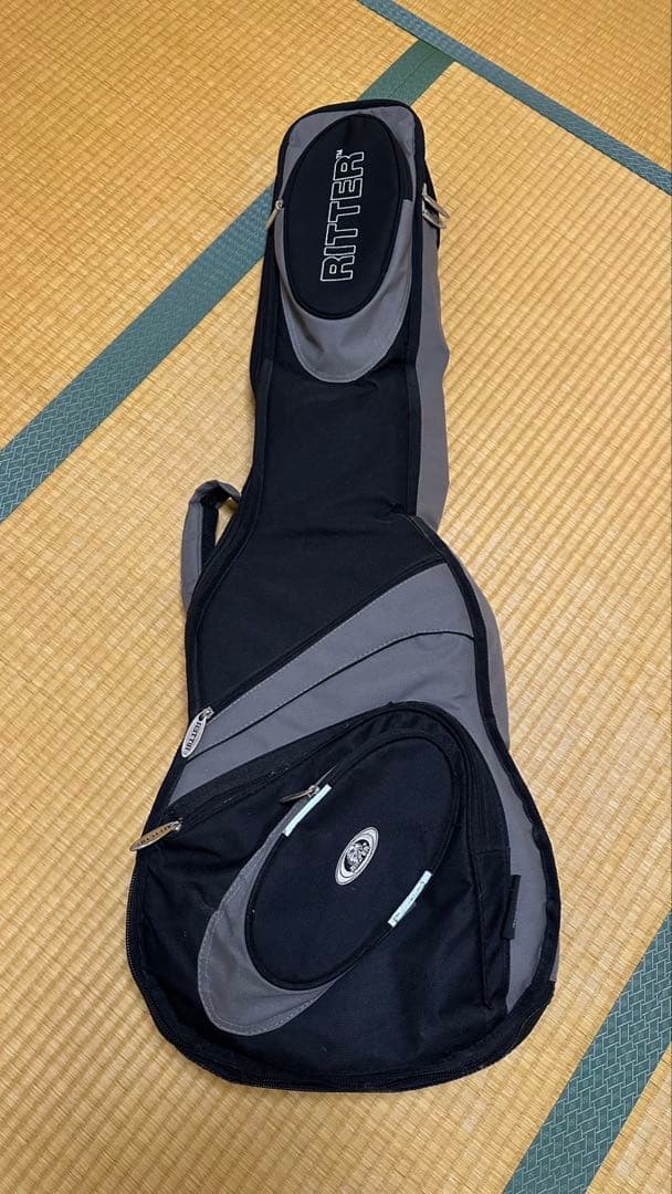 ギター Fender Traditional70s TelecasterThinline