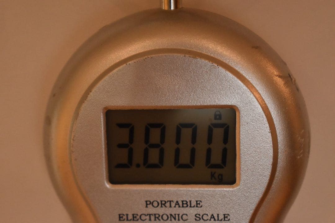 Epiphone Les Paul Classic Worn ハードケース付き