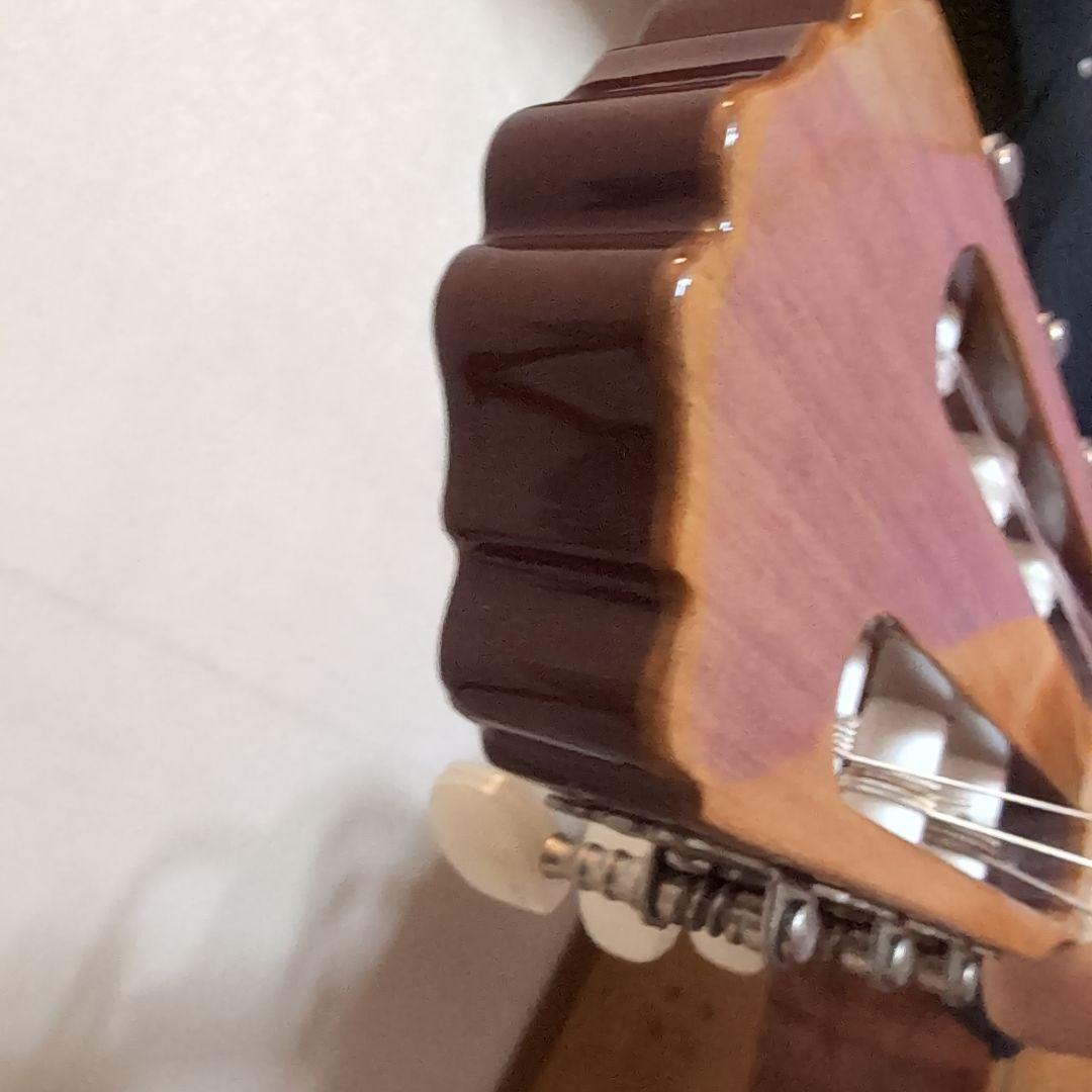 アコースティックギター Antonio Sanchez＆セミハードケース