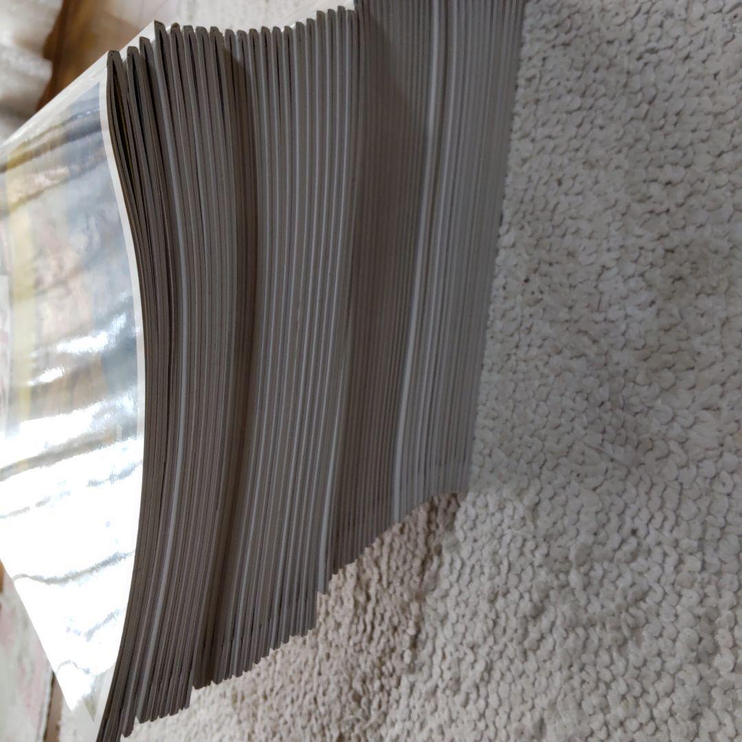 【小学館 週間】西洋絵画の巨匠 全50巻セット＋特別プレゼント