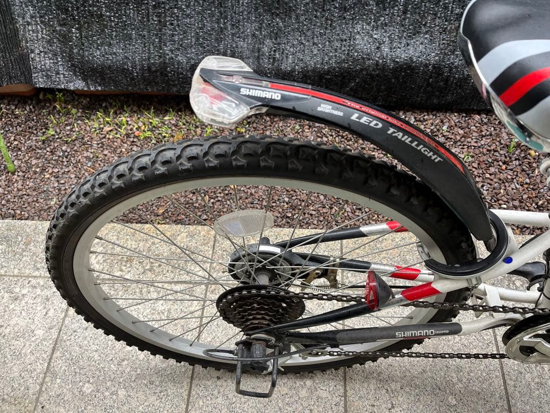 アメリカンイーグル　24インチ